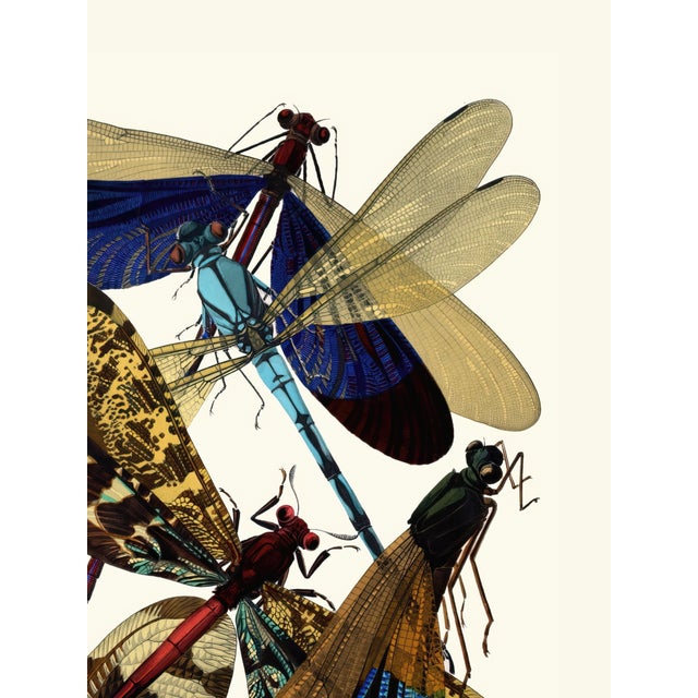 Art Deco Dragonfly Insects Plate 02 by Emile-Allain Séguy, Vintage Art Print Reproduction, 18" × 24" For Sale - Image 3 of 6