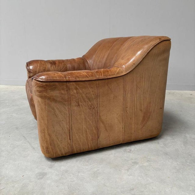 Vintage DS44 Lounge Chair from de Sede, 1970s For Sale - Image 14 of 15