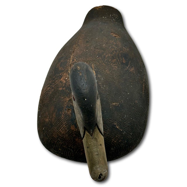 This Really is a Great Looking Authentic Antique American Duck Hunters "Working Decoy." Circa Early 20th Century. LARGER...