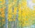 Impressionist Original Oil Landscape, Rushing Torrent in the Autumn Woods For Sale - Image 3 of 5
