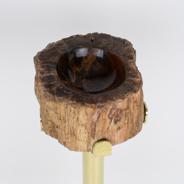 Mid-Century Brass and Petrified Wood Ashtray Vide Poche Side Table, circa 1960 For Sale - Image 11 of 14
