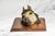 Amazing Rare Antique Austrian Cold Painted Bronze Horse Head Sculpture Desk Document Clip Equestrian Art Home Decor For Sale - Image 10 of 15