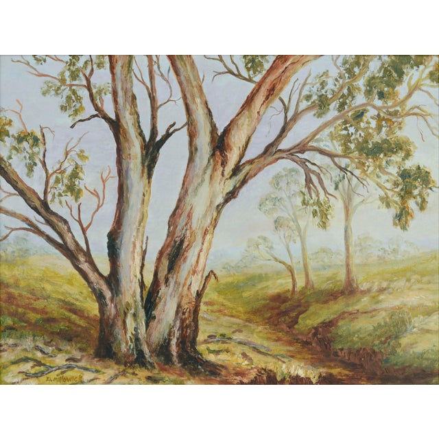 Beautiful landscape of gum trees in their native Australia, painted in the southern town of Gawler, by D. Millowick...