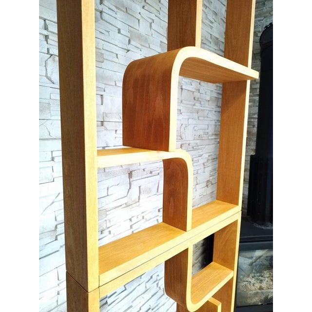 Room Dividers attributed to Ludvik Volak for Drevopodnik Holesov, Set of 2 For Sale - Image 10 of 18
