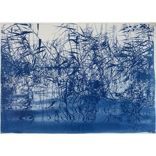 Contemporary Cyanotype on Watercolor Paper, "Mystic Louisiana Marsh" For Sale