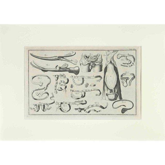 Lorenz Heister, Surgical Instruments, Etching, 1750 For Sale - Image 3 of 3