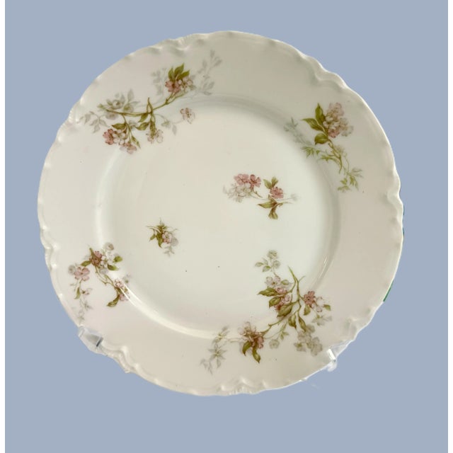 Early 20th Century French Limoges Porcelain Floral Plates - 6", 1900's - Set of 4 For Sale - Image 5 of 11