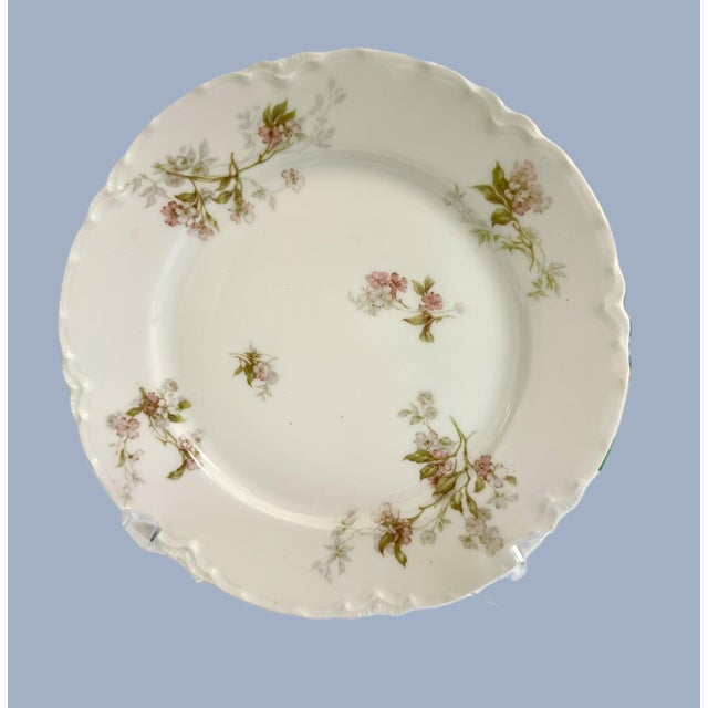 Early 20th Century Haviland and Co. Limoges Plates, 1900's - Set of 4 For Sale - Image 5 of 11