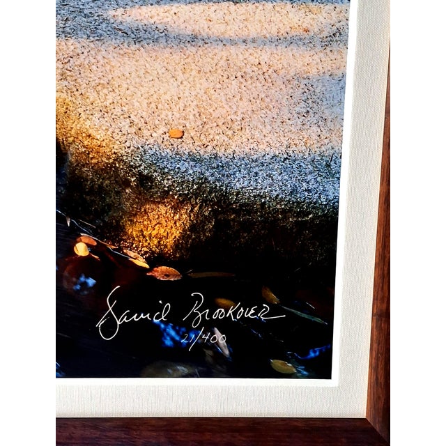 1990s David Brookover Framed Large-Format Photograph, 'Steps to Still Water' 21/400 For Sale - Image 10 of 10