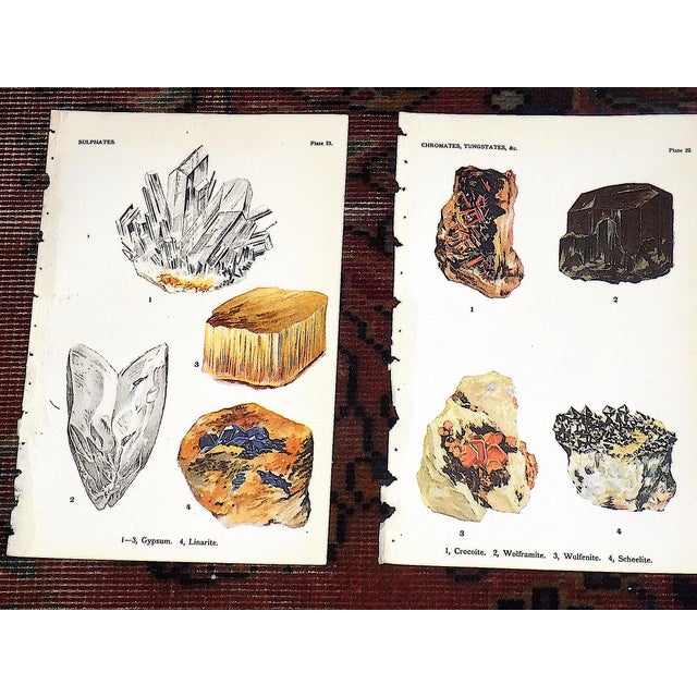 Authentic Antique 1916 Mineral Lithographs - Set of 12 For Sale In Cincinnati - Image 6 of 8