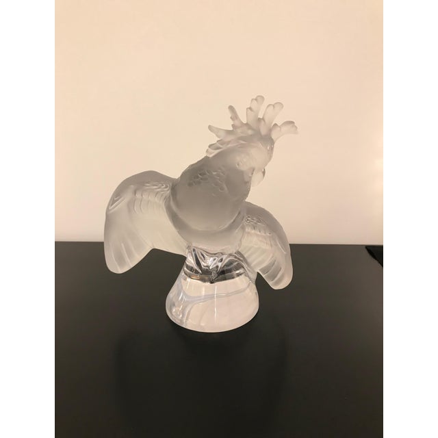 Art Deco Lalique Crystal Sculpture Cockatoo Bird For Sale - Image 3 of 13