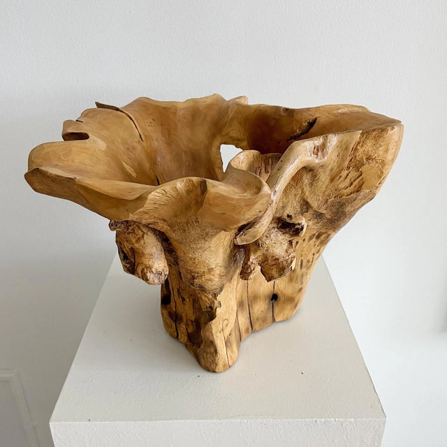 Sculptural Organic Wood Centerpiece Bowl For Sale - Image 10 of 10