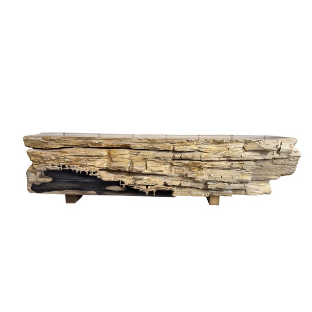 Petrified Wood Bench by Xyleia Petrified Wood For Sale - Image 6 of 6