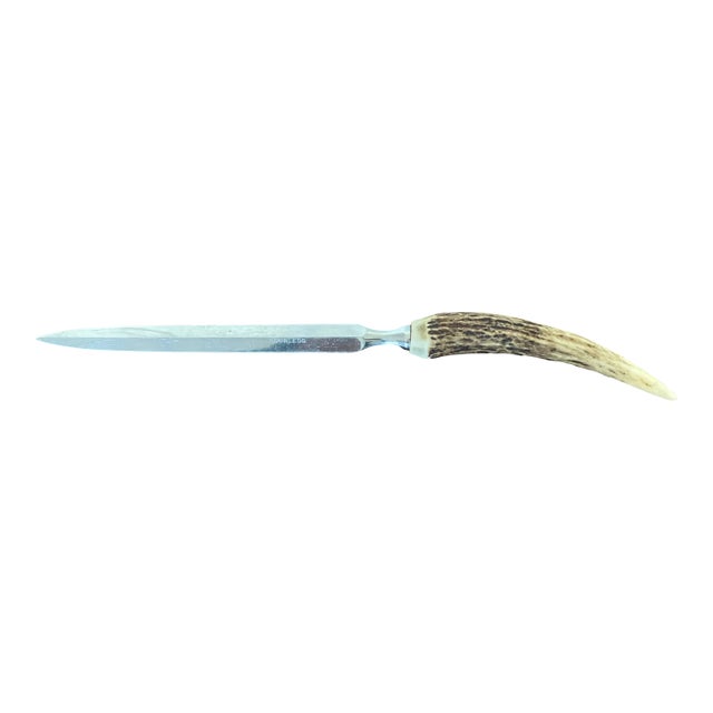 Antique Stainless Steel Letter Opener With Horn Handle For Sale