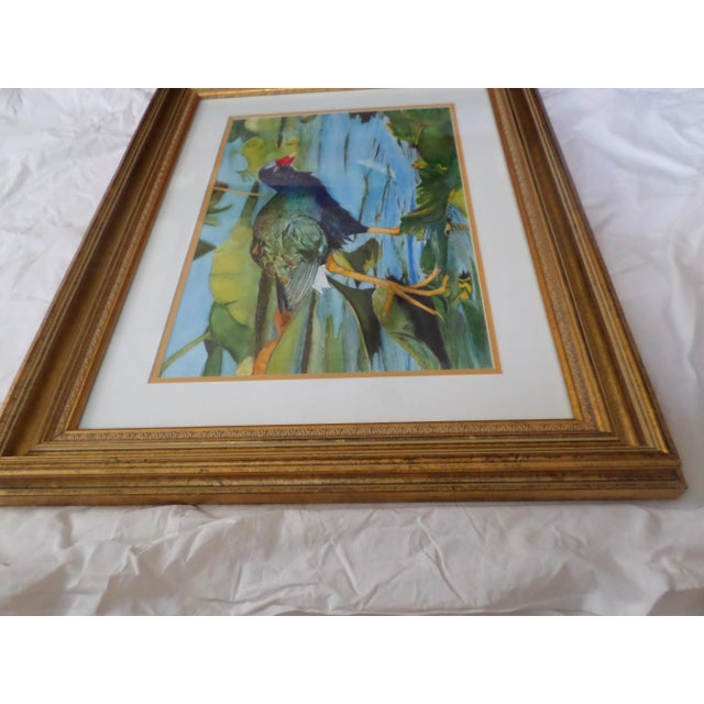 1970s "Purple Gallinule Bird in Pond" Watercolor Painting, Framed For Sale - Image 4 of 13