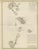 Antique Map of the Windward Islands in the Caribbean For Sale