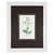 Antique Botanical Print Gallery | Set of 8 F. Edward Hulme Chromolithographs, Framed For Sale - Image 9 of 12