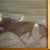 "Seagulls on the Rocks" Coastal Oil Painting by Alison Hill, Framed For Sale - Image 4 of 9