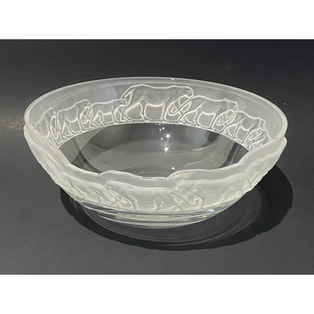 Nachtmann Safari Leopard Bowl For Sale - Image 4 of 13