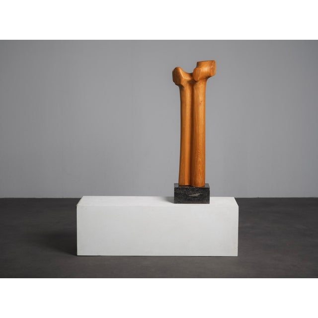 Biomorphic Modernist Sculpture in Carved Wood, Netherlands, 1970s For Sale - Image 9 of 9