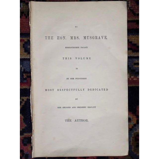 Antique 19th Century Hand Colored Butterfly Lithographs - Set of 12 For Sale - Image 9 of 12