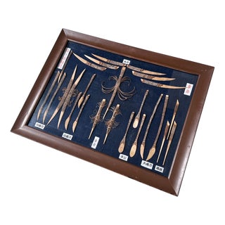 Framed Japanese Ujo Yōji Toothpicks and Spoons Display, 1960s For Sale