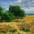 Contemporary "Spring Pathways" Original Impressionist Style Landscape Painting by Deb Bossert For Sale - Image 3 of 5