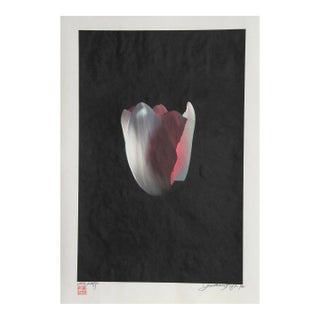 Floating Tulip, Jonathan Singer For Sale