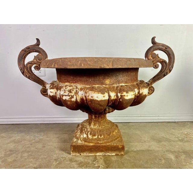 Sienna Large Pair of Antique Cast Iron Urn Planters, Europe, Early 20th Century For Sale - Image 8 of 16