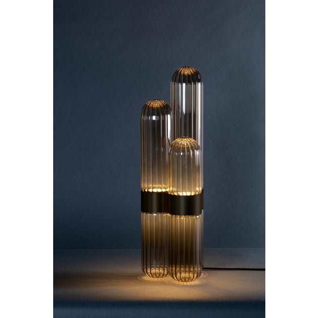 Early 21st Century Small Cactus Floor Lamp in Smoky Grey with Black Centrepiece by Mickael Koska for Pulpo For Sale - Image 5 of 6