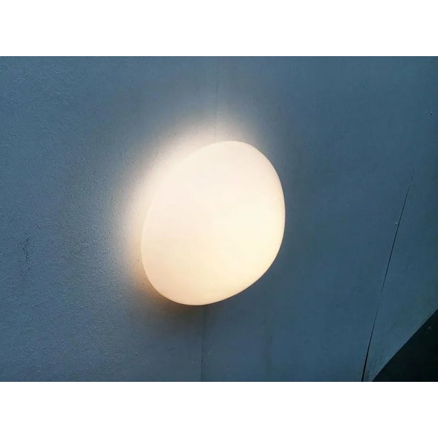 Mid-Century Modern Model 961 Ceiling or Wall Lamp by Wilhelm Wagenfeld for Lindner, Germany, 1950s For Sale - Image 6 of 12