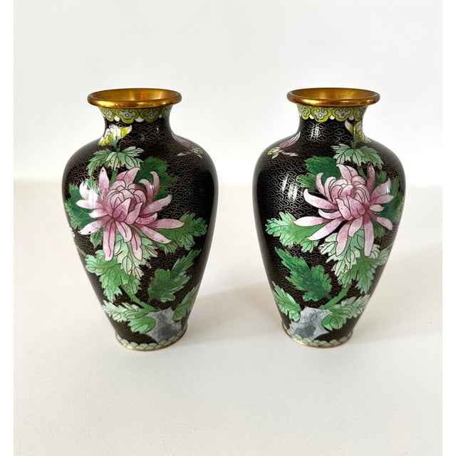 Pair of small 20th century Chinese export cloisonné vases with chrysanthemum motif. Black ground with lilac colored blooms...