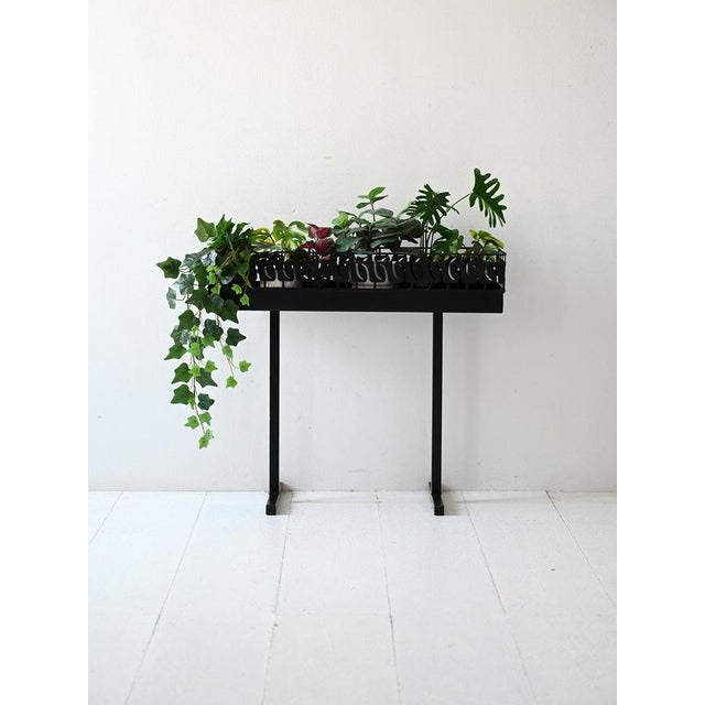 Internal/outdoor vintage portaphers. In metal painted in black, this planter has two simple supports that act as legs and...