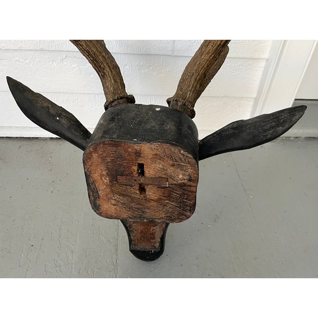 Antique 19th Century Folk Art Carved Wood Black Forest Baroque Deer Head & Antlers Wall Trophy For Sale - Image 12 of 12