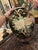 Ceramic Vintage Japanese Famille Noire Black Porcelain Table Lamps - Hand Painted - a Pair For Sale - Image 7 of 9
