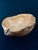 Folk Art Handcrafted Spruce Burl Wood Bowl With Live Edge For Sale - Image 3 of 12