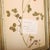 Large Herbarium Wall Panel, 1890s For Sale - Image 6 of 8