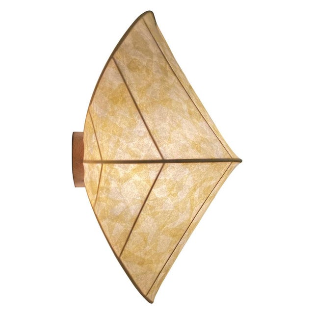 Chrysalis Wall Lamp by Cécile Philibert For Sale - Image 8 of 8