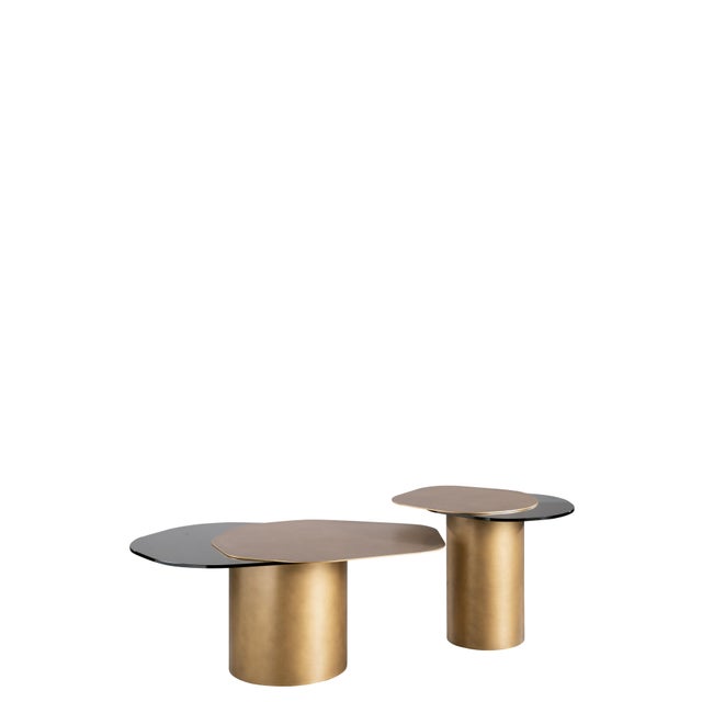 We created the Modern Irregular Kaylee Coffee Table for smaller size living room. It will add a touch of luxury to your...