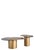 We created the Modern Irregular Kaylee Coffee Table for smaller size living room. It will add a touch of luxury to your...
