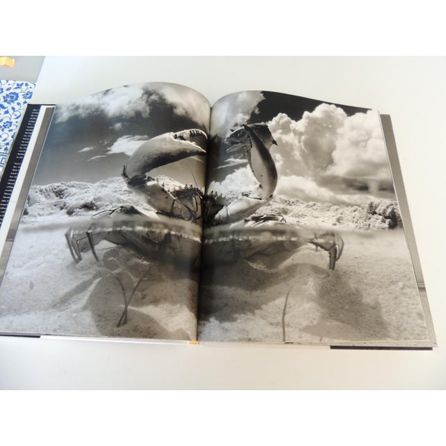 Equator Black & White Photography Hardcover Book by Taschen For Sale In Tampa - Image 6 of 7