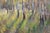Wood Impressionist Landscape Painting by Ebrahim Amin (Born 1950) For Sale - Image 7 of 11