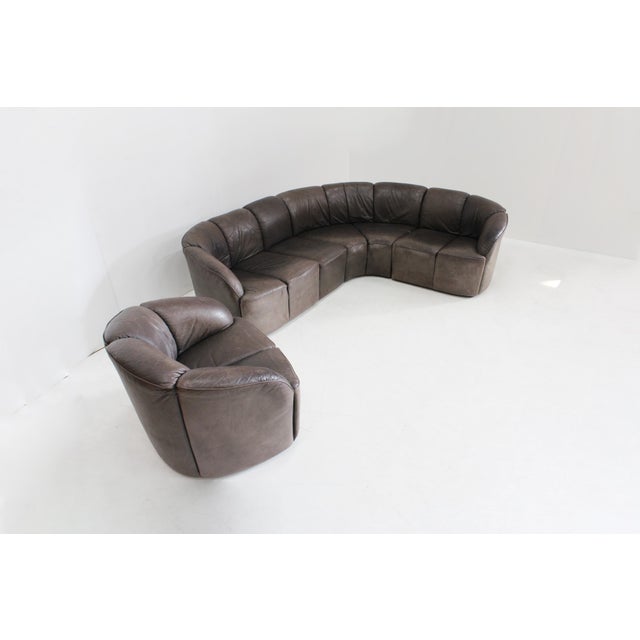 Vintage Piccolino Modular Sofa and Lounge Chair in Leather by Walter Knoll, 1960s, Set of 5 For Sale - Image 11 of 12