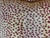 Pair of 20" Cowtan & Tout "Malabar" Pillows in Red For Sale - Image 4 of 7