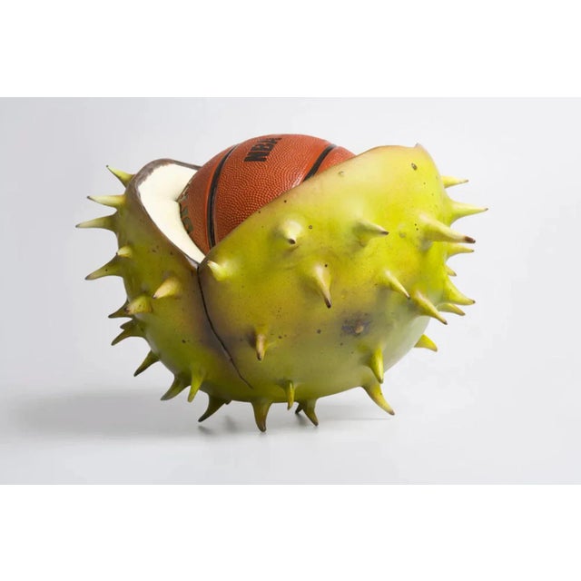 Simon Shepherd, Divide And Conker, 2023 Ceramic sculpture 45 x 45 x 30 cm (17.72 x 17.72 x 11.81 in) Hand-signed by the...