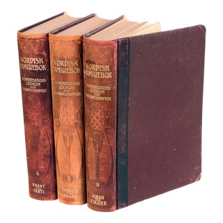 Designer Leather Books Ii, Set of 3 For Sale