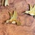 Mid-Century Modern Brass and Metal Hummingbird and Bow Wall Decor- 5 Pieces For Sale - Image 3 of 9