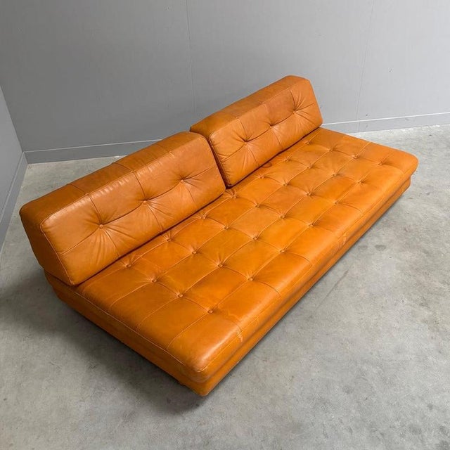 Animal Skin Vintage Cognac Leather Daybed, 1960s For Sale - Image 7 of 17