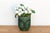 Chinese Emerald Green & Black Glaze Pot For Sale - Image 3 of 10