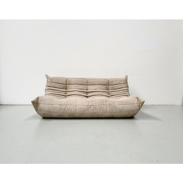 French Togo 3-Seater Sofa in Beige Corduroy attributed to Michel Ducaroy for Ligne Roset, 1970s For Sale - Image 12 of 12